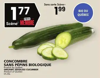 Rachelle-Bery Grocery ORGANIC SEEDLESS CUCUMBER offer