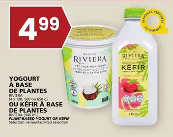 Rachelle-Bery Grocery RIVIERA PLANT-BASED YOGURT OR KEFIR offer