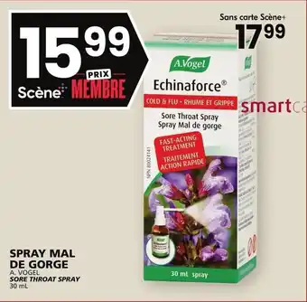 Rachelle-Bery Grocery A. VOGEL SORE THROAT SPRAY 30mL offer