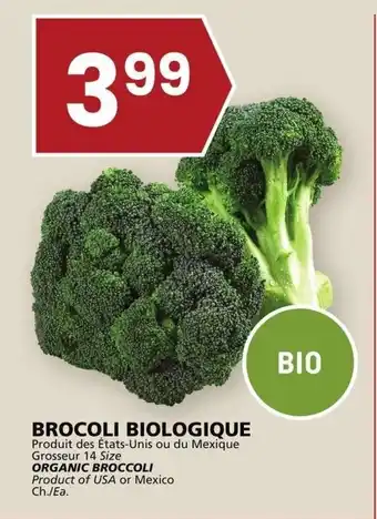 Rachelle-Bery Grocery ORGANIC BROCCOLI offer