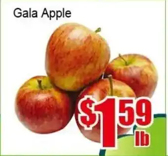 New Pacific Supermarket Gala Apple offer