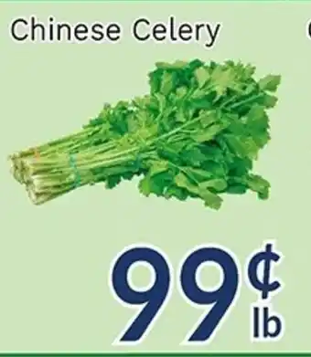 Oceans Fresh Food Market Chinese Celery offer