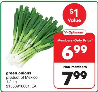 Wholesale Club Green onions, 1.2 kg offer