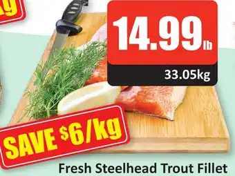 Starsky Fresh steelhead trout fillet offer