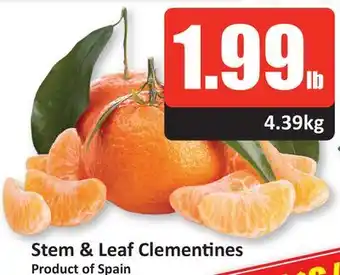 Starsky Stem & leaf clementines offer