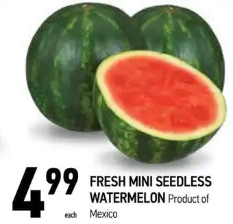 Coppa's Fresh Market Fresh mini seedless watermelon offer