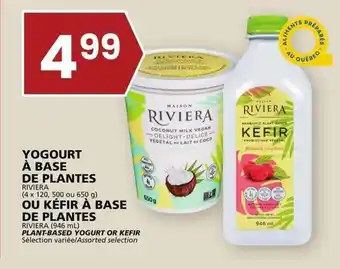 Rachelle-Bery Grocery RIVIERA PLANT-BASED YOGURT OR KEFIR offer