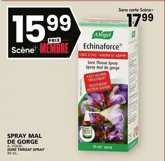 Rachelle-Bery Grocery SORE THROAT SPRAY 30mL offer
