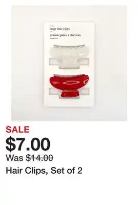 Chapters Indigo Hair clips, set of 2 offer
