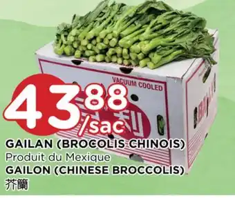 Kim Phat Gailon (chinese broccolis) offer