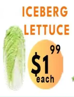 Iceberg lettuce