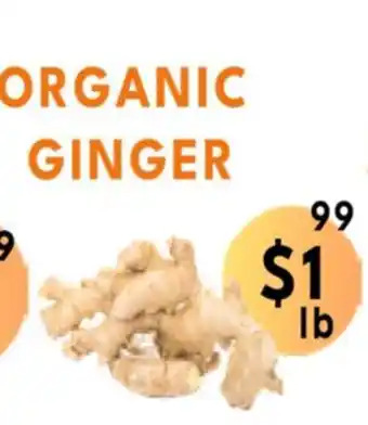 Food World Supermarket Organic ginger offer