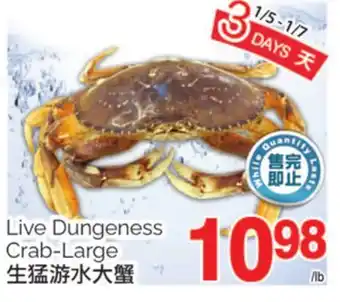 T&T Supermarket Live dungeness crab-large offer