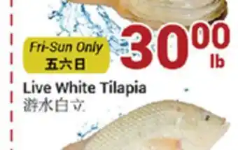 Oceans Fresh Food Market Live white tilapia offer