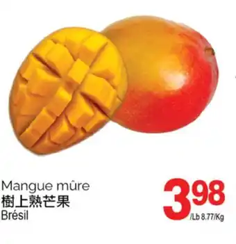 T&T Supermarket Mangue mûre offer