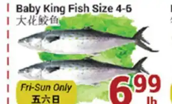 Oceans Fresh Food Market Baby king fish size offer