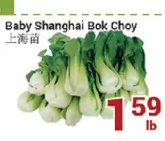 Oceans Fresh Food Market Baby shanghai bok choy offer