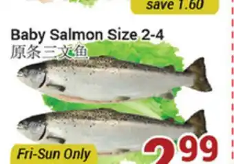 Oceans Fresh Food Market Baby salmon size 2-4 offer