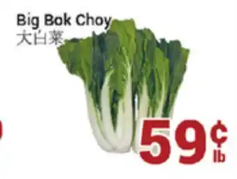 Oceans Fresh Food Market Big bok choy offer