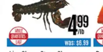Nations Fresh Foods Fresh lobster offer