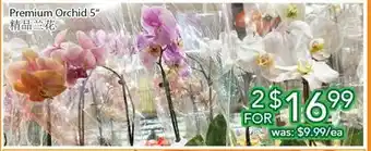 Ample Food Market Premium orchid 5 offer