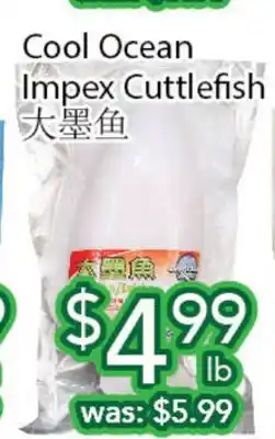 Ample Food Market Cool ocean impex cuttlefish offer