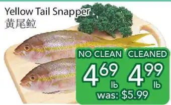 Ample Food Market Yellow tail snapper offer