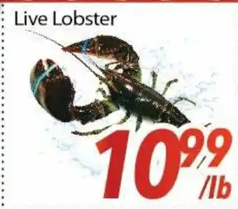 Bestco Food Mart Live lobster offer