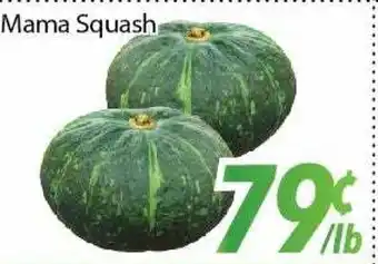 Bestco Food Mart Mama squash offer