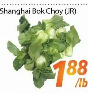 Bestco Food Mart Shanghai bok choy (jr) offer