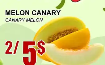 Marche Salaberry Melon canary offer