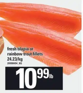Loblaws Fresh tilapia or rainbow trout fillets 24.23/kg offer