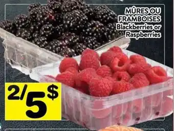 Supermarché PA Blackberries or Raspberries offer