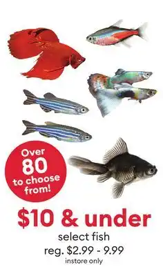 Petsmart Select fish offer