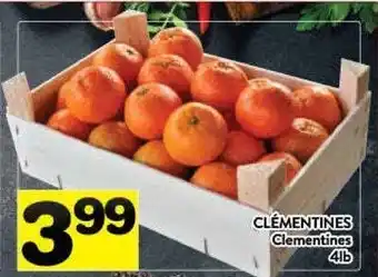 Supermarché PA Clementines offer