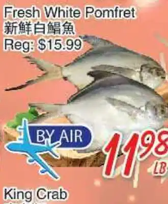 Foody Mart Fresh white pomfret offer