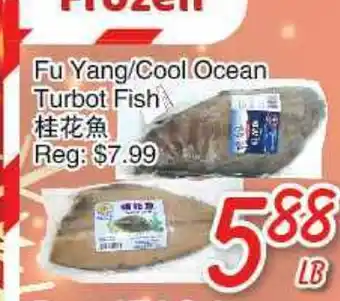 Foody Mart Fu yang/cool ocean turbot fish offer