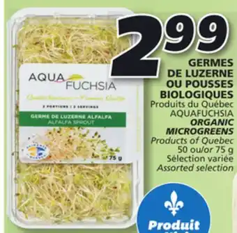IGA Organic microgreens offer