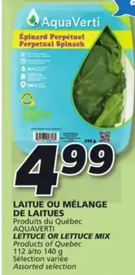 IGA Aquaverti lettuce or lettuce mix offer