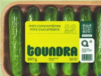 IGA Seedless mini cucumbers offer