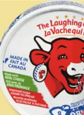 IGA Cheese offer