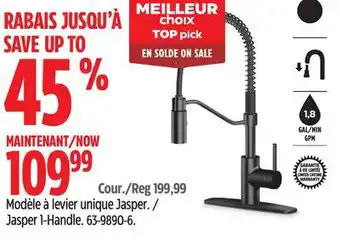 Canadian Tire Danze jasper 1-handle kitchen faucet offer