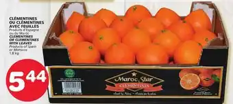 Marches Tradition Clementines or clementines with leaves offer