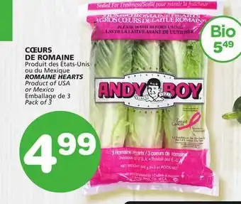 Marches Tradition Romaine hearts offer