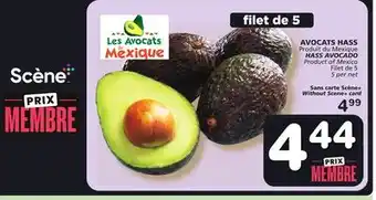 Marches Tradition Hass avocado offer