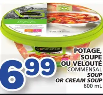 Marches Tradition Commensal soup or cream soup offer