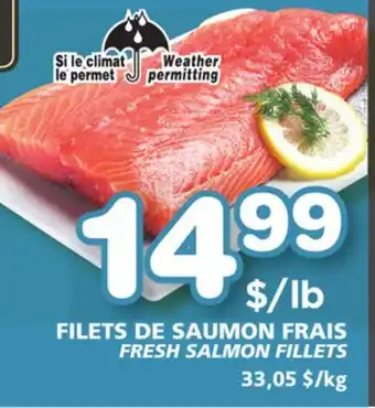 Marches Tradition Fresh salmon fillets offer
