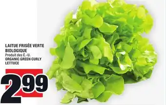 Super C Laitue frisée verte biologique | organic green curly lettuce offer