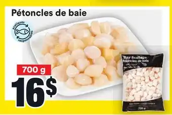 Super C Pétoncles de baie | bay scallops offer
