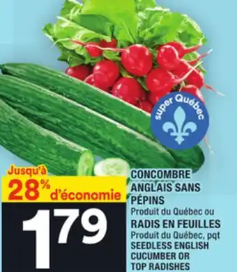 Super C Concombre anglais sans pépins | seedless english cucumber or top radishes offer